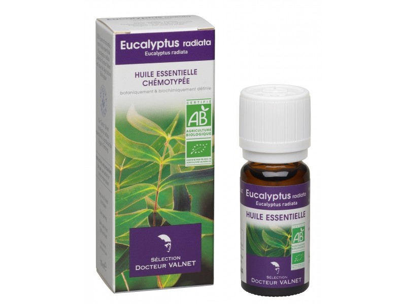 Eucalyptus radiata essential oil 10ml - Docteur Valnet